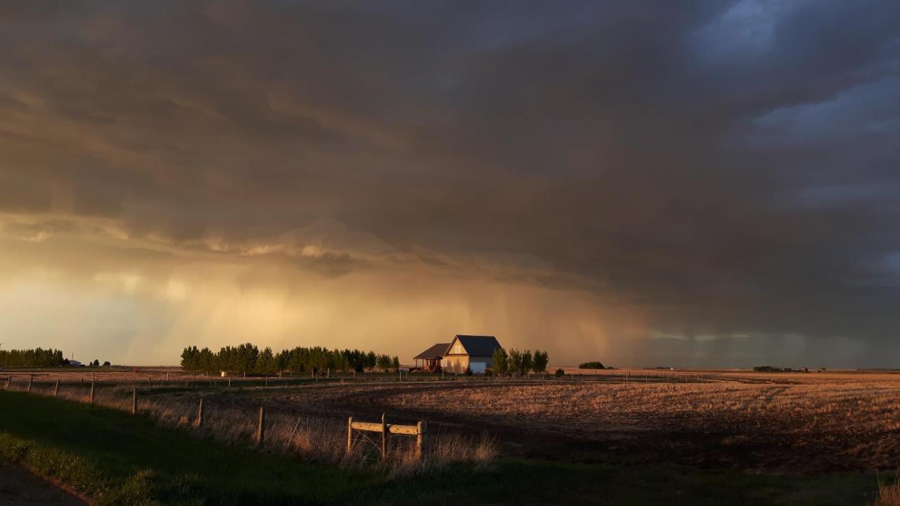 Anna'S Prairie Comfort B & B Moose Jaw Bagian luar foto
