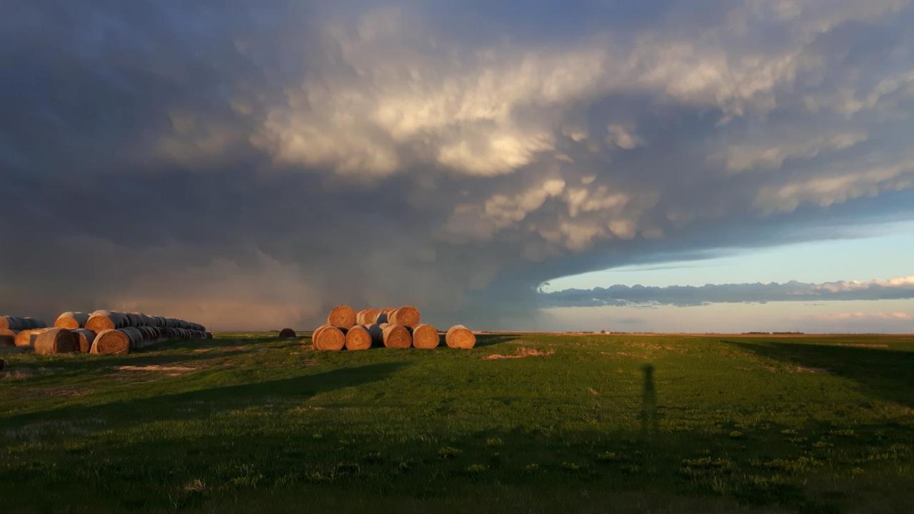 Anna'S Prairie Comfort B & B Moose Jaw Bagian luar foto